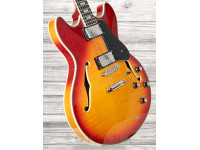 Sire Larry Carlton H7 CS Sire Larry Carlton H7 CS